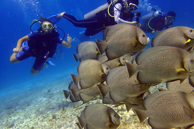 Diving in the Mexican Caribbean for Beginners | 2 Tanks 2 Dives | All Inclusive - Reaching the underwater museum at 33 feet