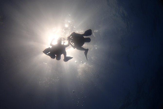 Diving in the Mexican Caribbean for Beginners | 2 Tanks 2 Dives | All Inclusive - The natural reef and the second 35-minute session