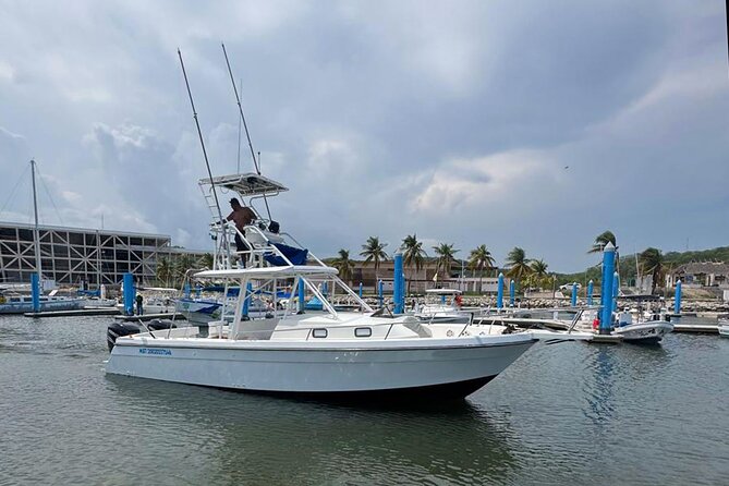 Dolphin & Whale Watching with Marine Biologists - Searching Huatulco National Park for whales and dolphins