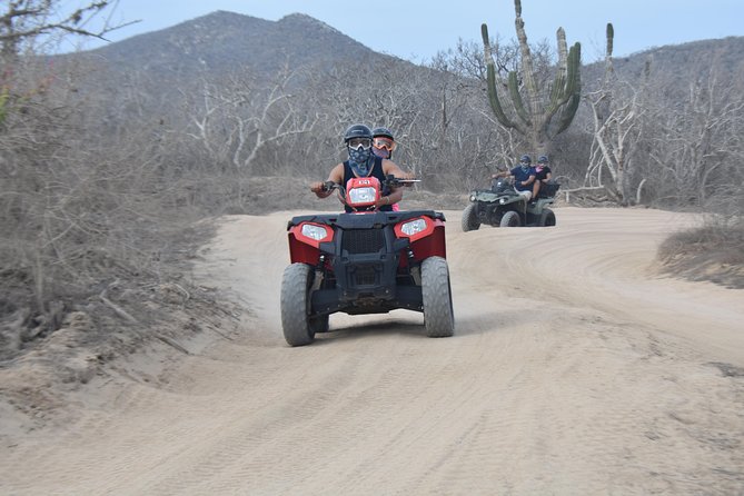 Double ATV Migriño Beach & Desert - Cactus country and Baja plant life