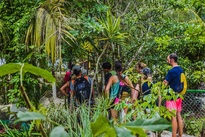 E-Bike Adventure in Cozumel - West Side Ride N' Snorkel - Price, group size, and who gets good value