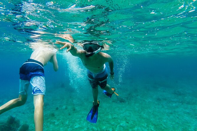 E-bike West Coast Snorkeling Tour - What the guides add to the day