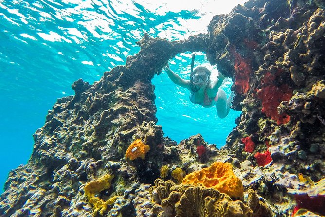 E-bike West Coast Snorkeling Tour - Cenote Aerolito de Paraiso and the underground river