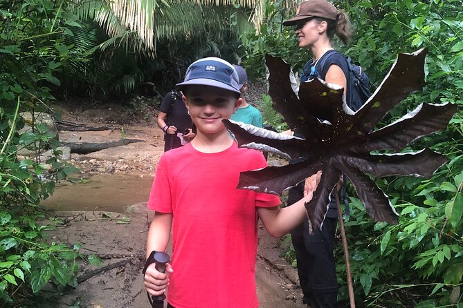 EcoHike to private beach, Jungle Walk to see plants & animals - Bird watching and small jungle discoveries