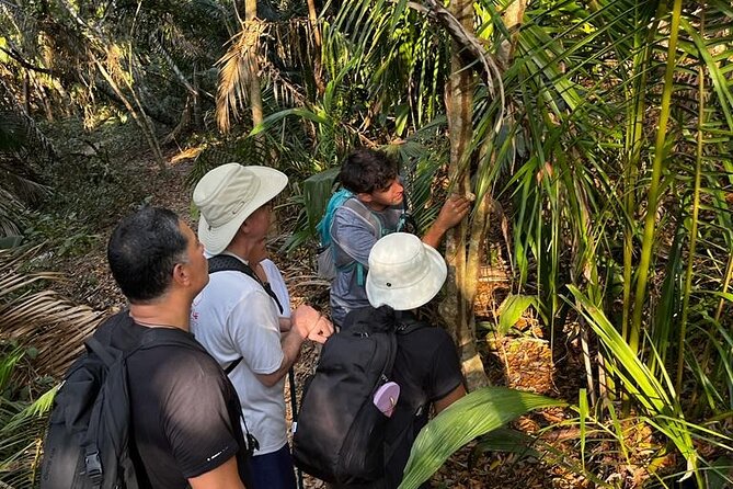 EcoHike to private beach, Jungle Walk to see plants & animals - The hill sections and hiking poles