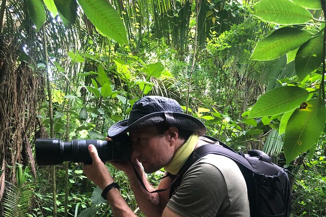 EcoHike to private beach, Jungle Walk to see plants & animals - Reaching the quiet beach