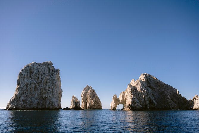 Educational Sunrise Whale Watching with Photos Included - Weather, cancellations, and booking flexibility