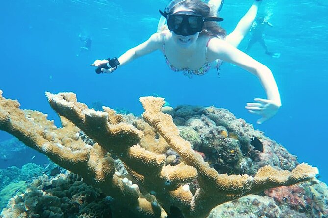 El Cielo Cozumel Snorkel Private Boat + Food + Drinks + Beach - Why this private Cozumel trip feels different