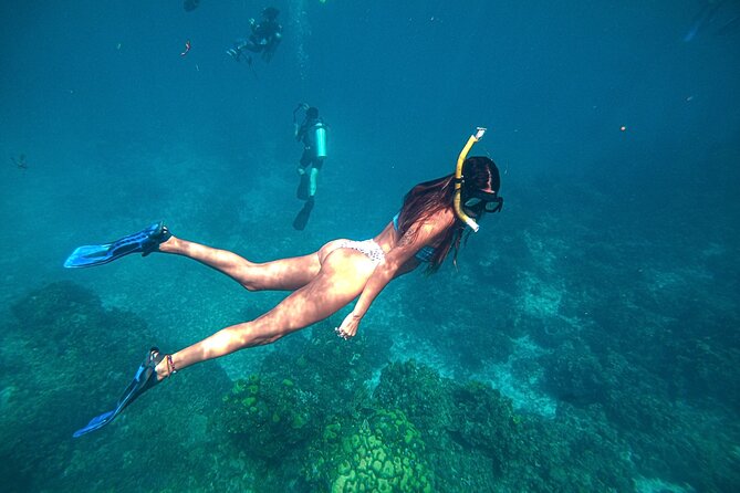 El Cielo Cozumel Snorkel Private Boat + Food + Drinks + Beach - Ceviche, guacamole, fruit, and cold drinks