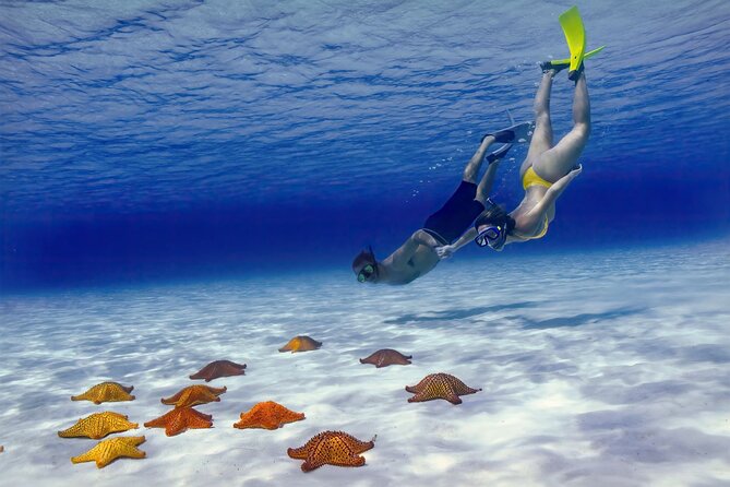 El Cielo Cozumel Snorkel Private Boat + Food + Drinks + Beach - Leaving San Francisco Beach Club