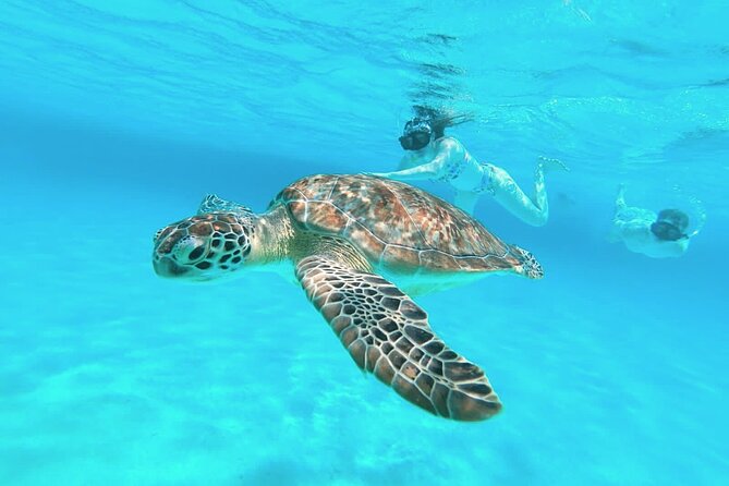 El Cielo Cozumel Snorkel Share Boat + Reefs + Food Drinks + Beach - Three Cozumel water stops, each with a different purpose
