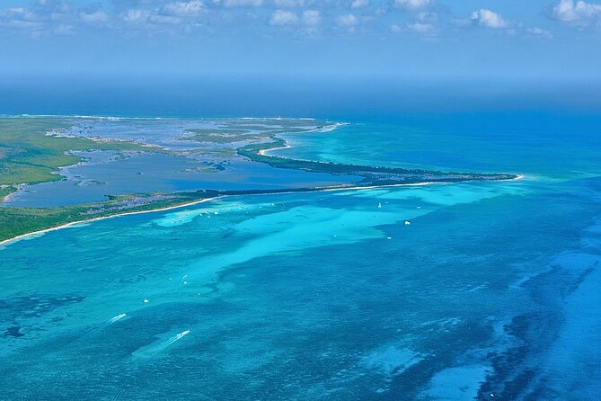 El Cielo Cozumel Snorkel Share Boat + Reefs + Food Drinks + Beach - El Cielo: starfish in shallow, clear water