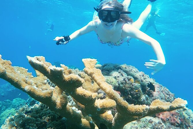 El Cielo Cozumel Snorkel Share Boat + Reefs + Food Drinks + Beach - El Cielito: stingrays in a natural pool