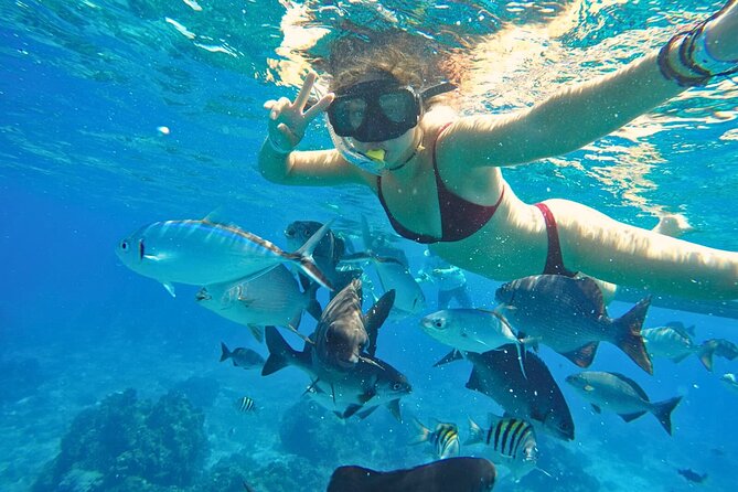 El Cielo Cozumel Snorkel Share Boat + Reefs + Food Drinks + Beach - The small boat is personal, but not luxurious