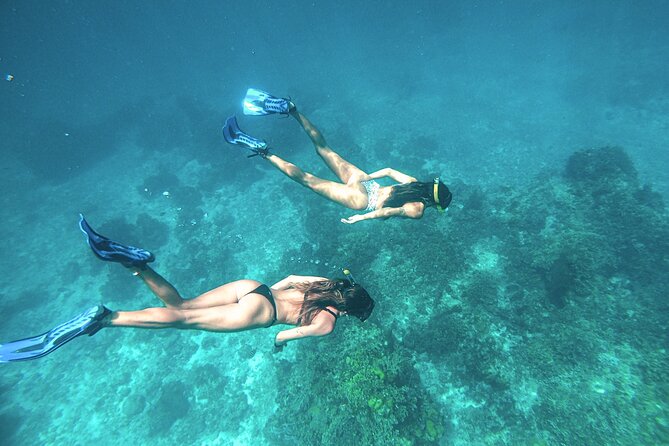 El Cielo Cozumel Snorkel Share Boat + Reefs + Food Drinks + Beach - San Francisco Beach is practical, not polished