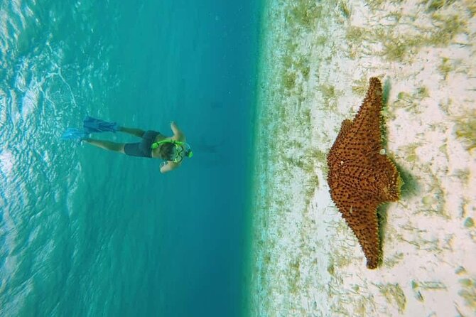 El Cielo Cozumel Snorkel tour by Catamaran - Palancar Reef, your first serious look underwater