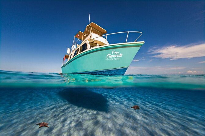 El Cielo Cozumel Snorkeling Tour - All-Inclusive - Why El Cielo makes this more than a standard reef trip