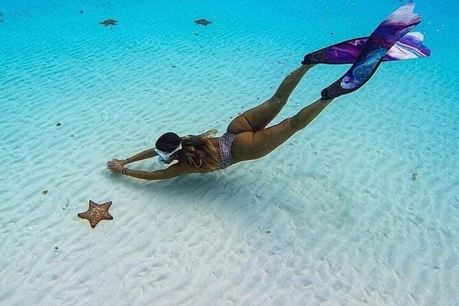 El Cielo Cozumel Snorkeling Tour - All-Inclusive - Boat comfort, safety, and swimming ability
