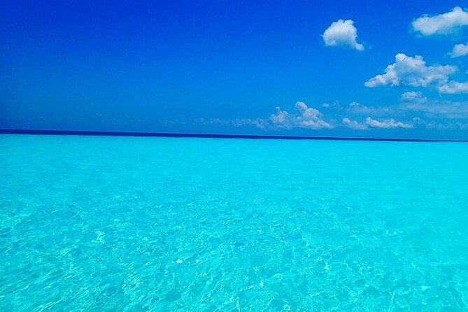 El Cielo Cozumel Snorkeling Tour - All-Inclusive - Who will enjoy this Cozumel excursion most