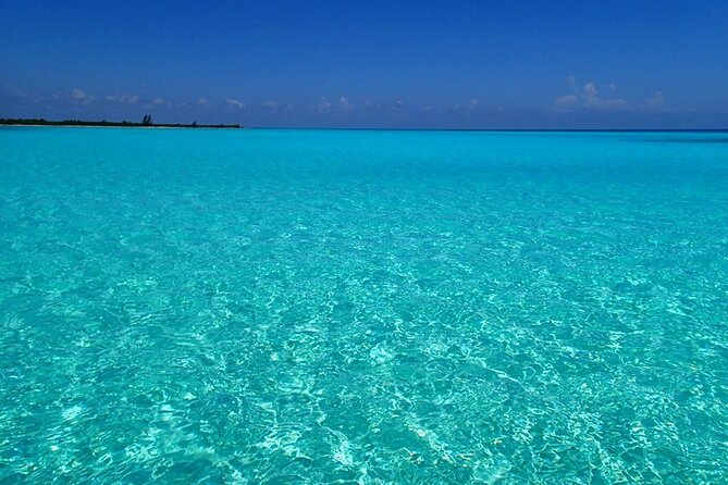 El Cielo Cozumel Snorkeling Tour - All-Inclusive - Palancar Reef and Colombia Reef: the underwater highlights