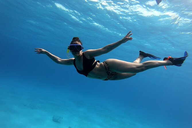 El Cielo Cozumel Snorkeling tour by Private Boat - Why El Cielo works so well as a private boat trip