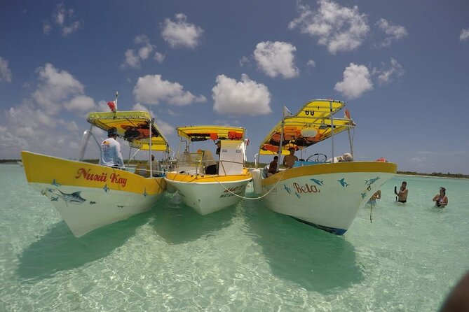 El Cielo Cozumel Snorkeling tour by Private Boat - El Cielo: starfish in shallow Caribbean water