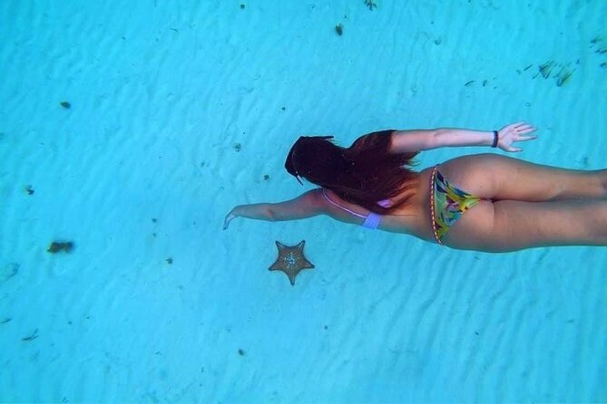 El Cielo Cozumel Snorkeling trip by Catamaran - Palancar and Columbia: the main reef experience