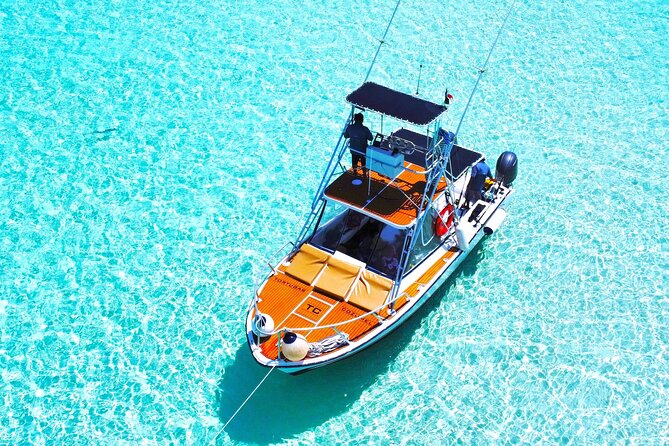 El Cielo Snorkel by Private Boat - Ceviche, fruit, and drinks are part of the appeal