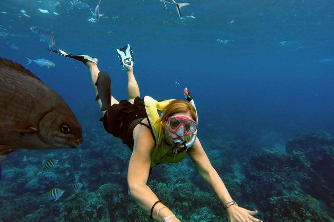 El Cielo Snorkel by Private Boat - The crew is a major part of the value