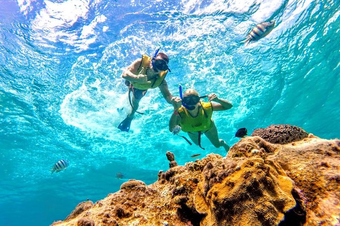 El Cielo Snorkel by Private Boat - Is $499.99 good value for six people?