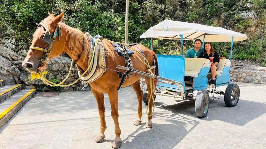 El mejor Tour a "Cola de Caballo" + Guía + Traslado +Tickets - Regional breakfast before the sightseeing