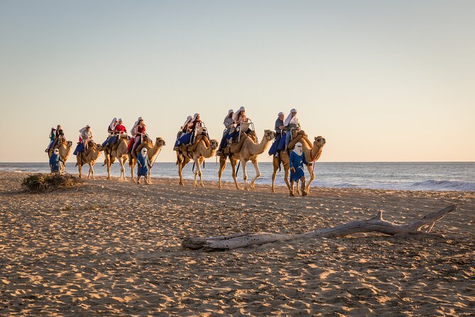 Electric Bike and Beach Camel Ride with Mexican Buffet Lunch - Desert paths, ocean air, and a quiet beach