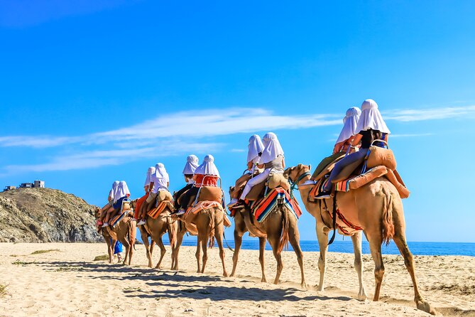Electric Bike and Beach Camel Ride with Mexican Buffet Lunch - Lunch, margaritas, and tequila