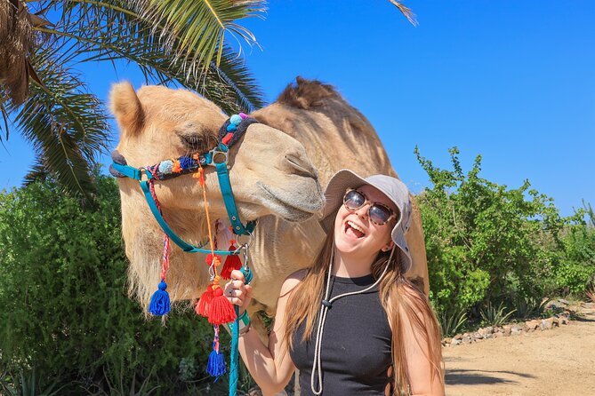 Electric Bike and Beach Camel Ride with Mexican Buffet Lunch - What the guides add to the day