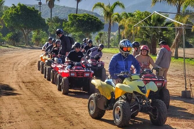 Enesenda Shore Excursion ATV Adventure with Tacos & wine tasting - Key points at a glance