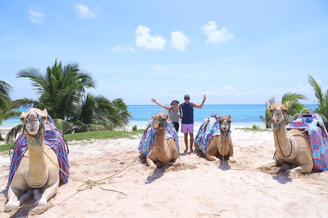 ENJOY UNIQUE CAMEL RIDE in Puerto Morelos with Transportation - Why the camels are the best part