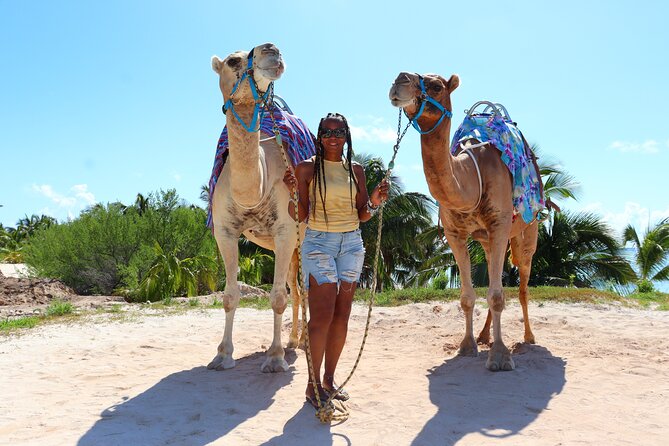 ENJOY UNIQUE CAMEL RIDE in Puerto Morelos with Transportation - Beach-club time is useful, but not fully included