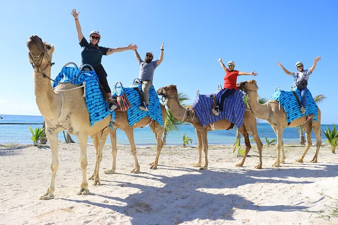 ENJOY UNIQUE CAMEL RIDE in Puerto Morelos with Transportation - Jungle paths, beach views, and weather changes