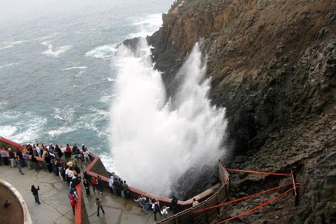 Ensenada Shore Excursion: Blowhole and La Bufadora Tour with Horseback Riding - Why this shore excursion works
