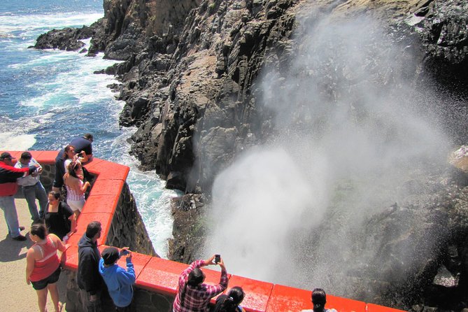Ensenada Shore Excursion: Blowhole and La Bufadora Tour with Horseback Riding - Is the $168 price fair?