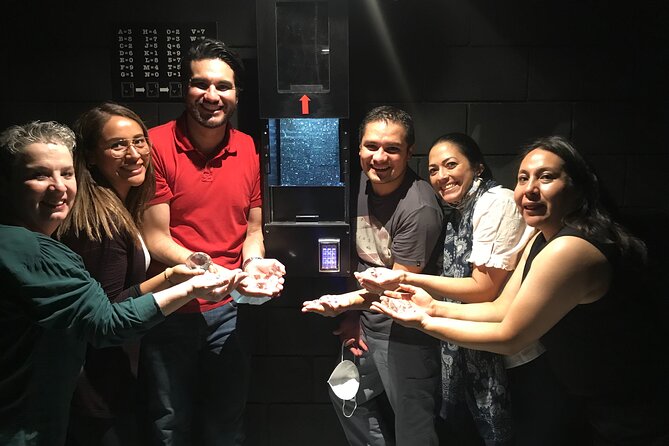 Escape Room in Guadalajara: Central Bank Robbery - Who should book the Central Bank Robbery?