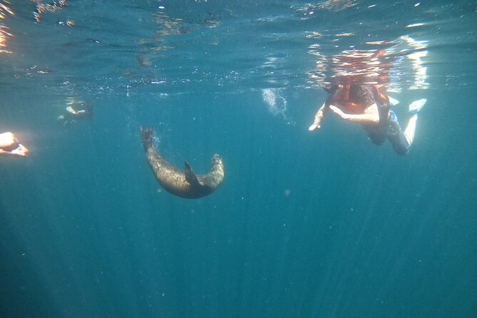 Espiritu Santo Island and sea lions - Guides, language, and the size of the group