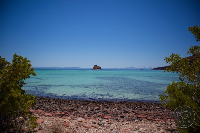 Espiritu Santo Island and sea lions - Is $131.42 a fair price?
