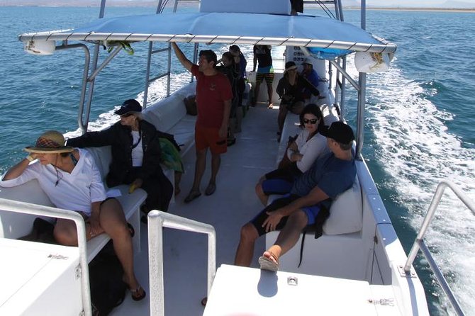 Espiritu Santo Island Snorkel & Sea Lion Adventure - Lunch is simple, fresh, and useful