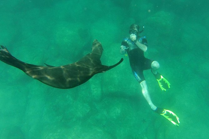 Espiritu Santo Island Snorkel & Sea Lion Adventure - Is $145 a fair price?