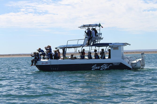 Espiritu Santo Island Snorkel & Sea Lion Adventure - Who should book this experience?