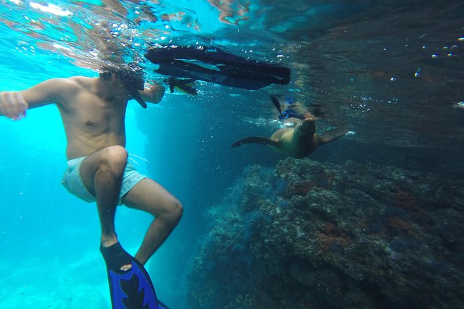 Espiritu Santo Island Snorkel & Sea Lion Adventure - What to expect at Isla los Islotes