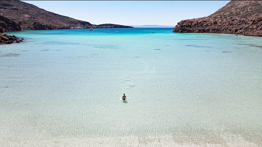 Espiritu Santo Island: Snorkeling Sea Lion Adventure - Should you book the Espíritu Santo sea lion trip?