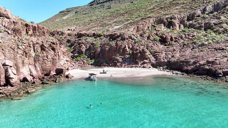 Espiritu Santo Island: Snorkeling Sea Lion Adventure - Why the $133 price can make sense