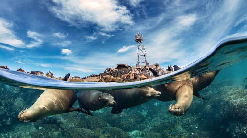 Espiritu Santo Island: Snorkeling Sea Lion Adventure - The boat trip from La Paz to Espíritu Santo Island